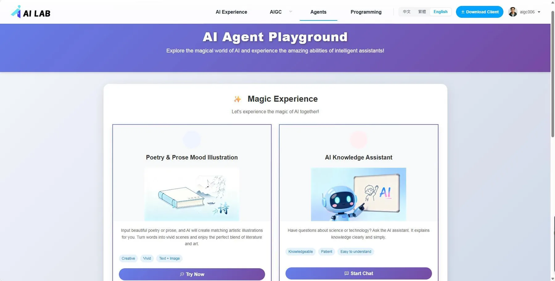 AI agent playground